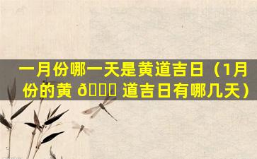 一月份哪一天是黄道吉日（1月份的黄 🐘 道吉日有哪几天）